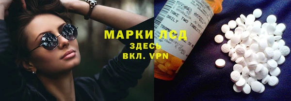 прущие грибы Алексин