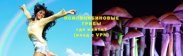 круглые Алексеевка
