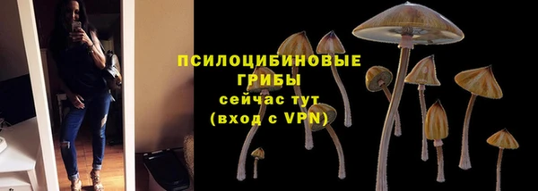 прущие грибы Алексин