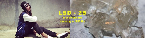 прущие грибы Алексин