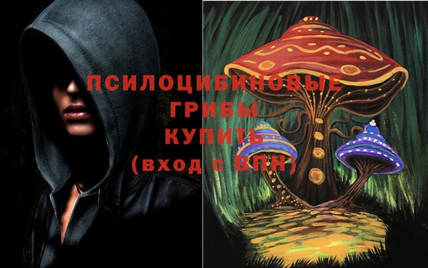 прущие грибы Алексин
