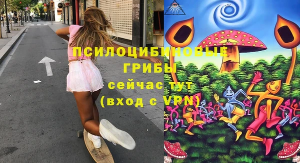 СК Алзамай