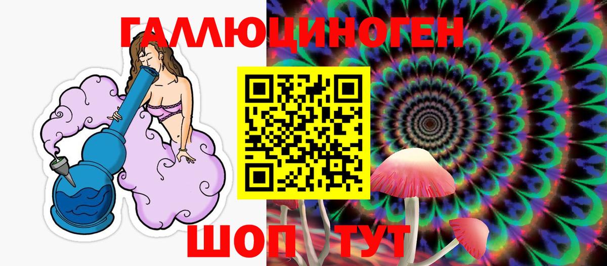 Псилоцибиновые грибы Psilocybine cubensis Дзержинский